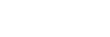 maisey group hamilton and auckland